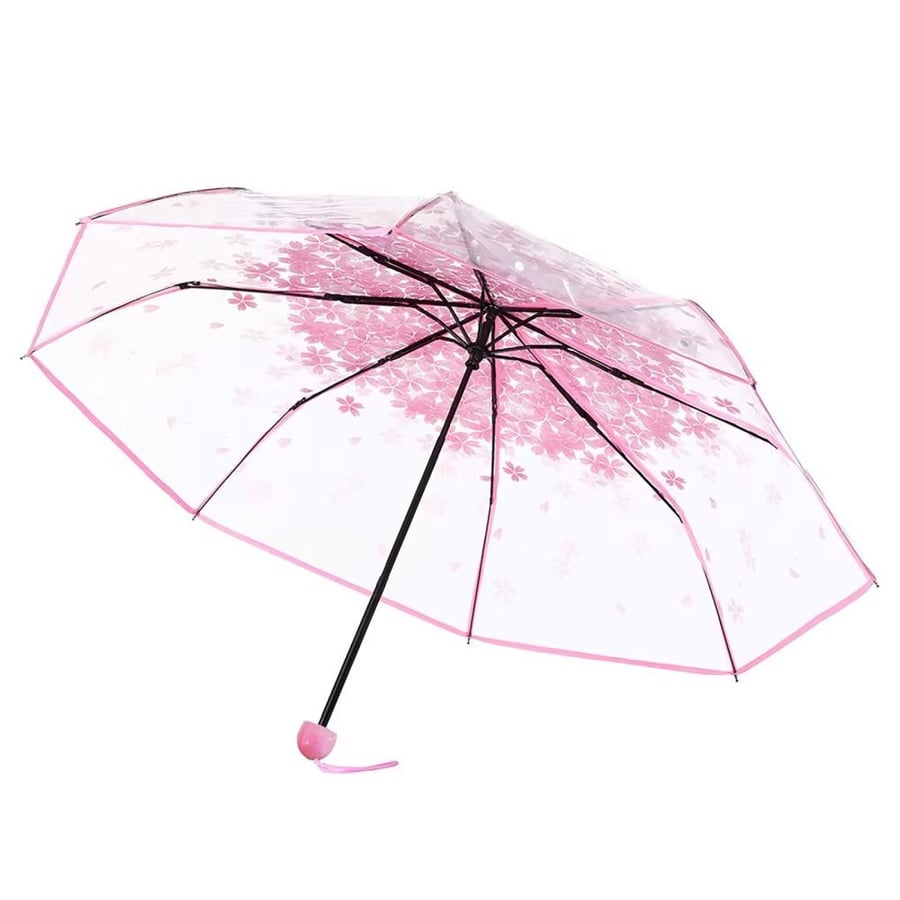 Sakura umbrella