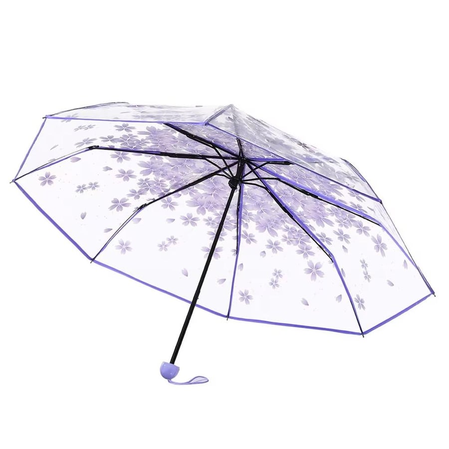 Sakura umbrella