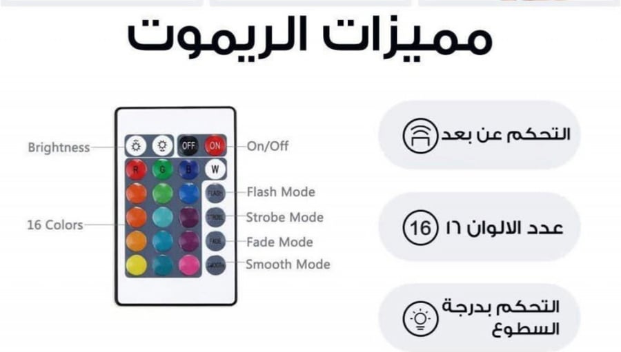 اضاءة مدرسة القمار | Compulsive Gambler