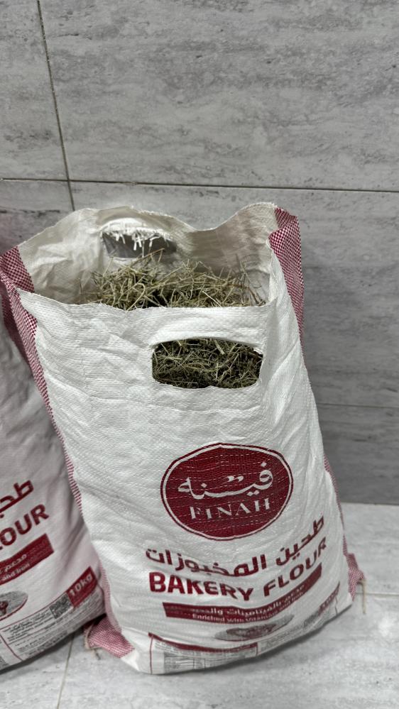 شيح بري  خيشة صغيره