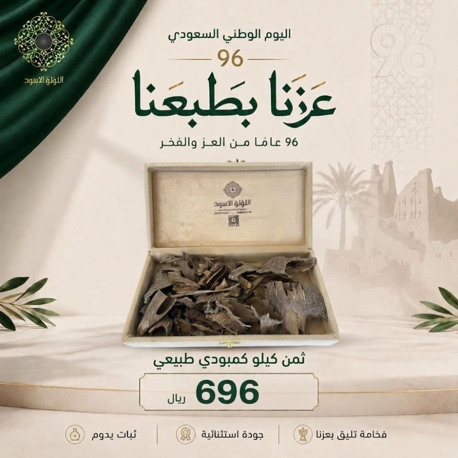 عرض اليوم الوطني 4