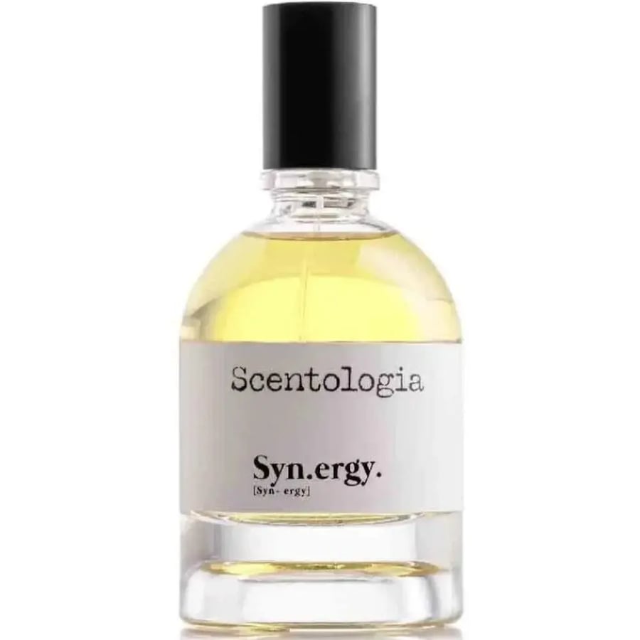 تستر عطر سينتولوجيا سينيرجي او دو بارفيوم 100 مل Scentologia Syn.ergy