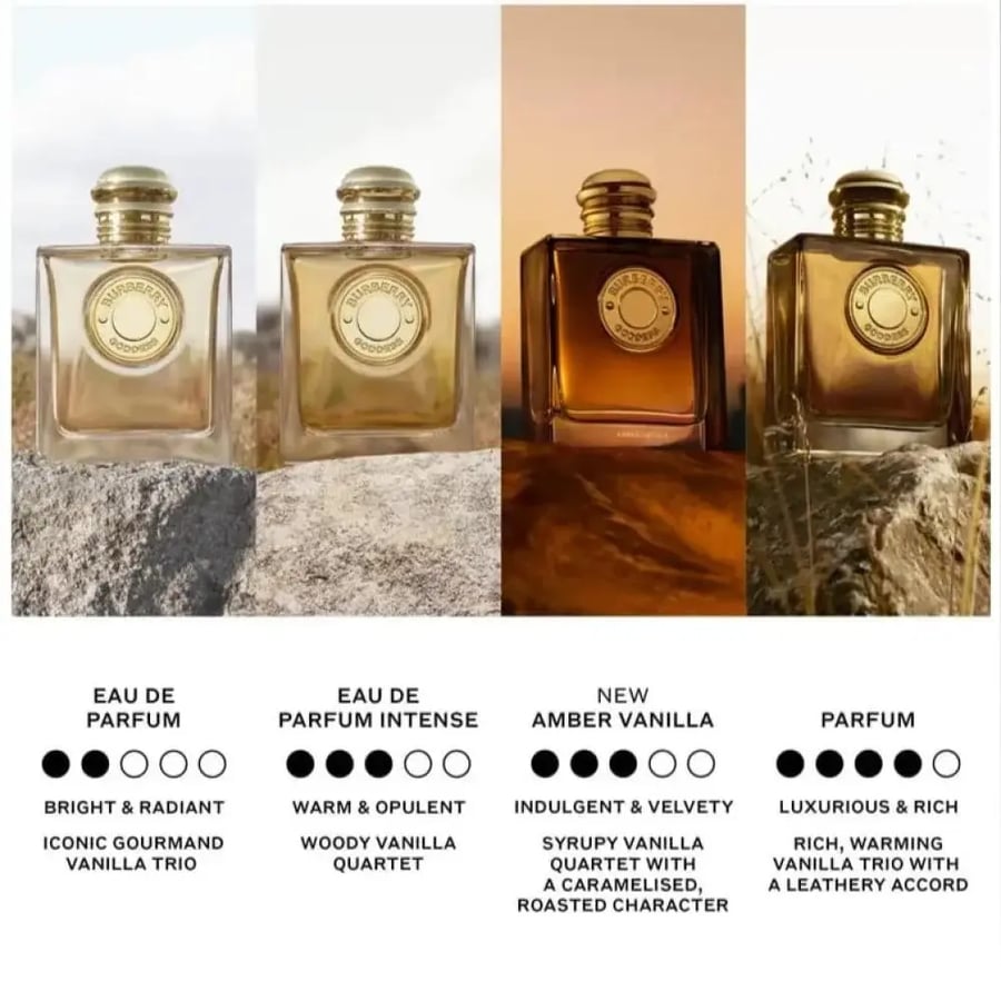 عطر بربري جوديس عمبر فانيلا او دو بارفيوم انتنس 100 مل