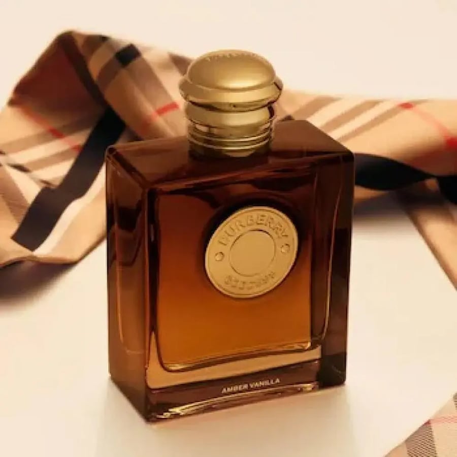 عطر بربري جوديس عمبر فانيلا او دو بارفيوم انتنس 100 مل