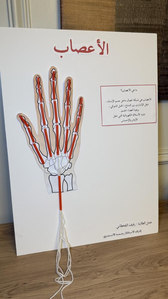 لوحة الأعصاب