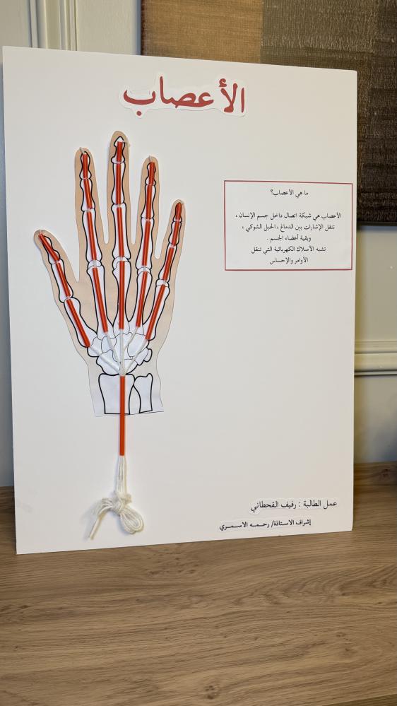 لوحة الأعصاب