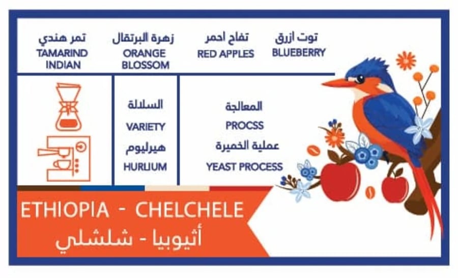 مخفضة قهوة كافيين باتش شلشلي إثيوبيا عملية الخميرة