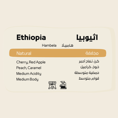 قهوة شفل هامبيلا إثيوبيا مجففة