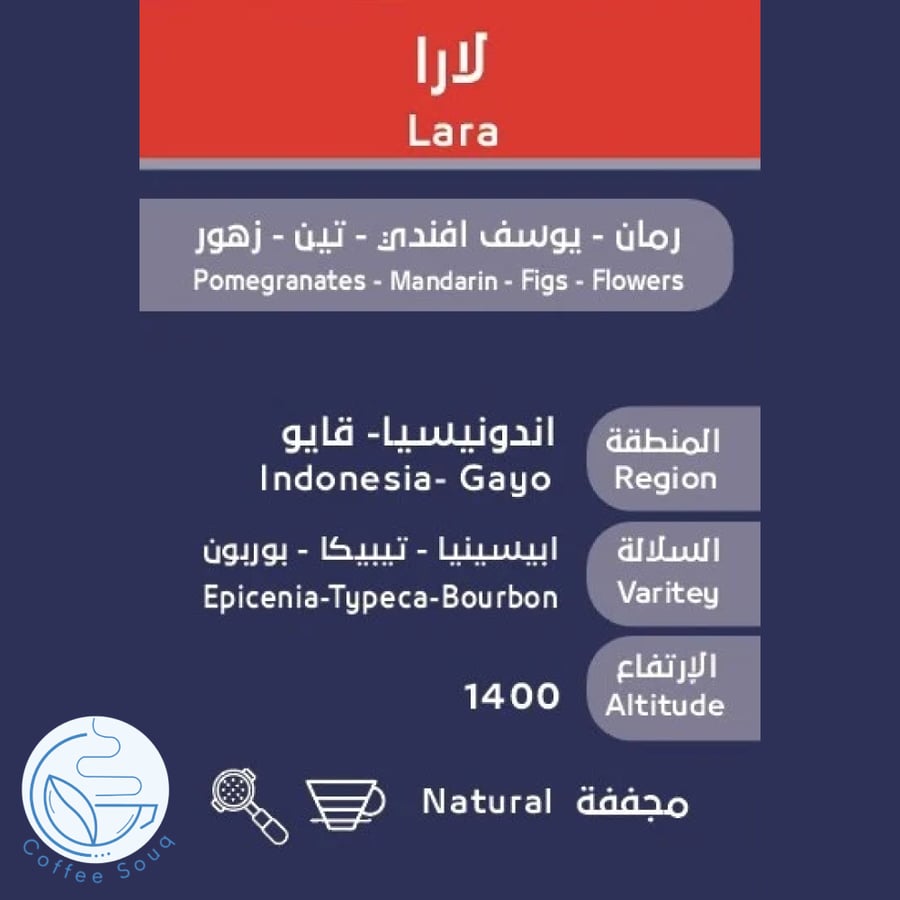 قهوة اوسار لارا إندونيسيا مجففة
