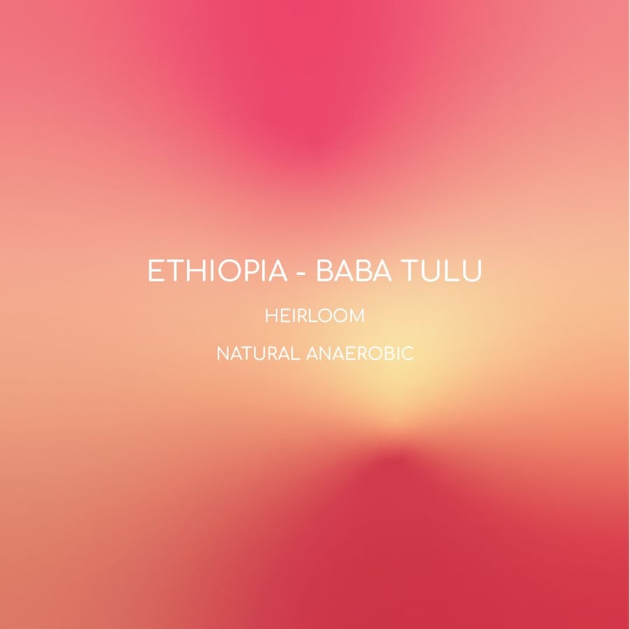 Enlighten Baba Tulu Ethiopia dried anaerobic 250 grams (luxurious)