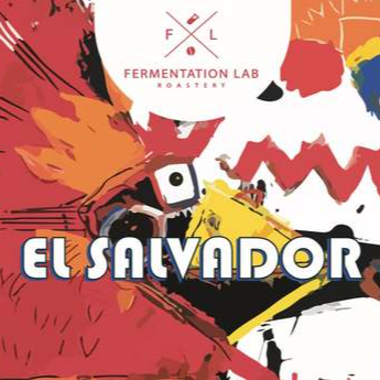 قهوة فرمنتيشن لاب EL SALVADOR السلفادور لاهوائي فلتر