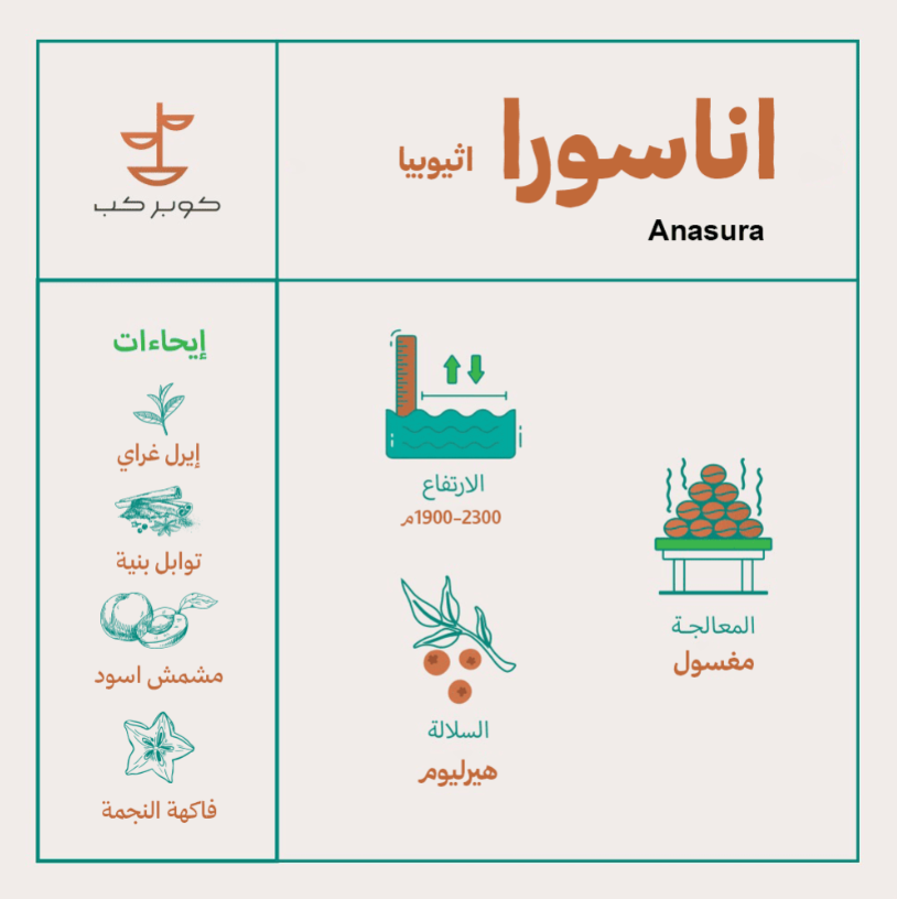 قهوة كوبر كب اناسورا اثيوبيا مغسولة 250 جرام