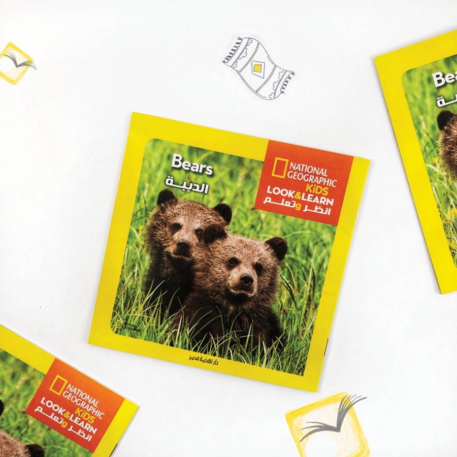 الدببة