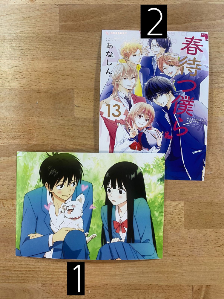 Shojo Poster2