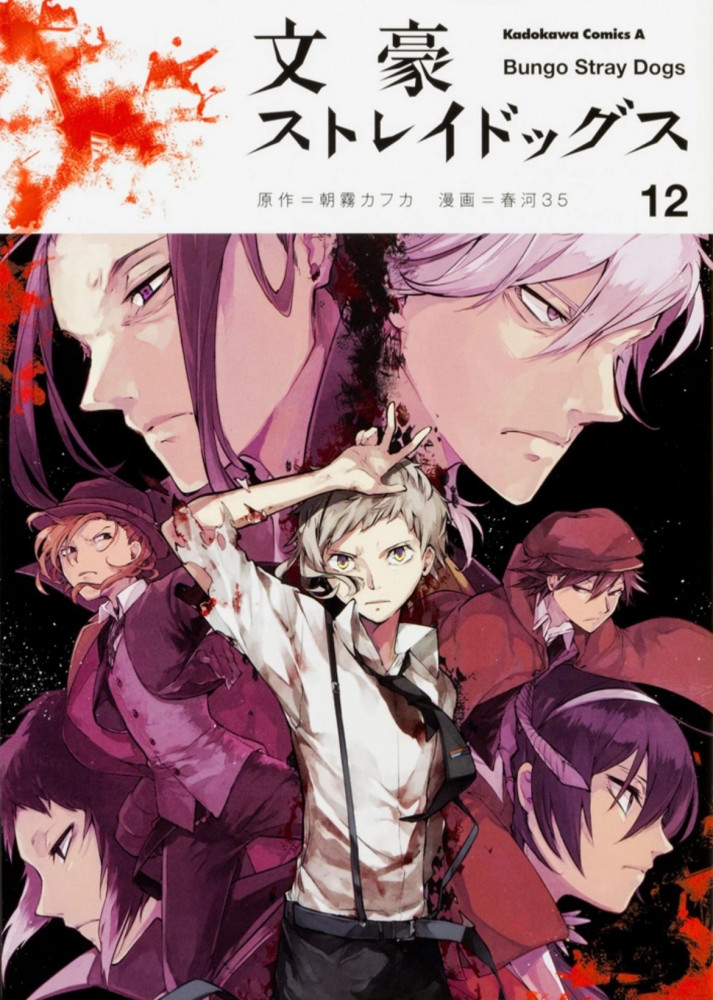 Bungou stray dogs Vol12