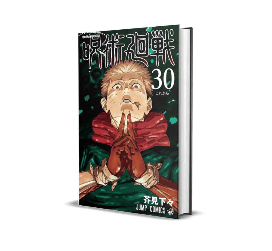 Jujutsu Kaisen Vol30