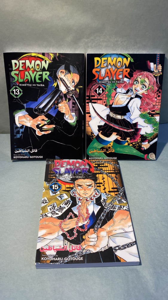 Demon slayer 13-14-15