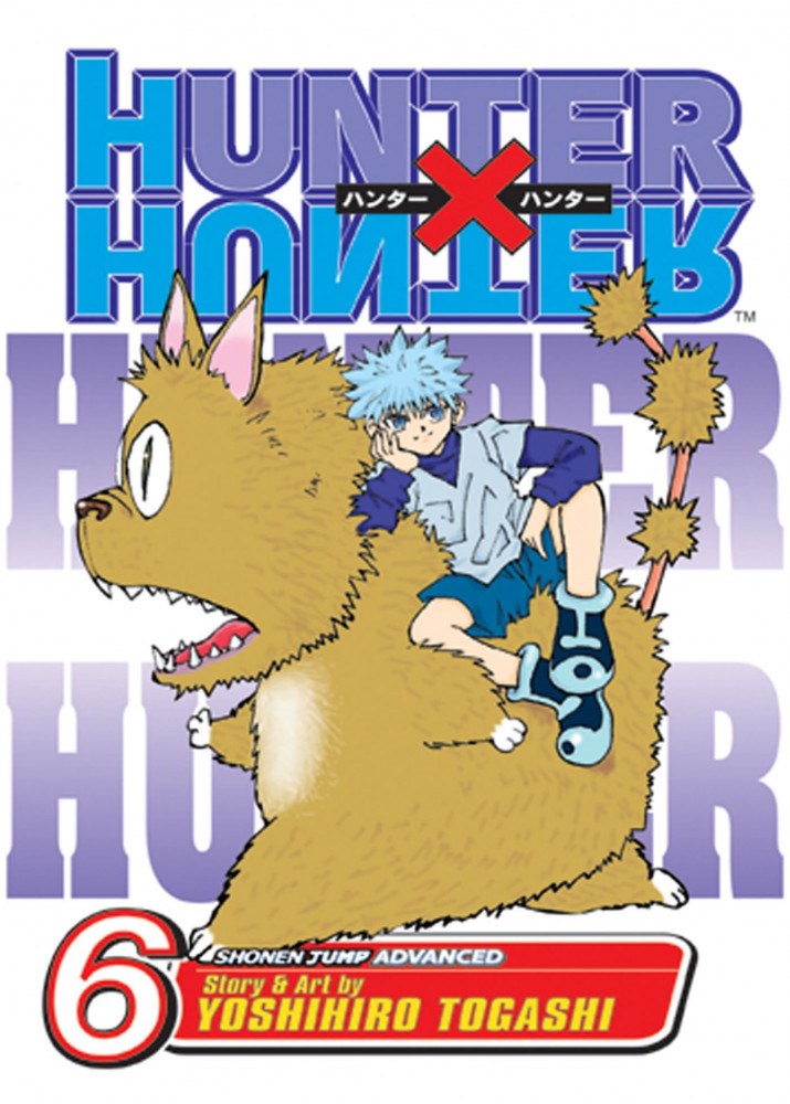 Hunter X Hunter Vol6