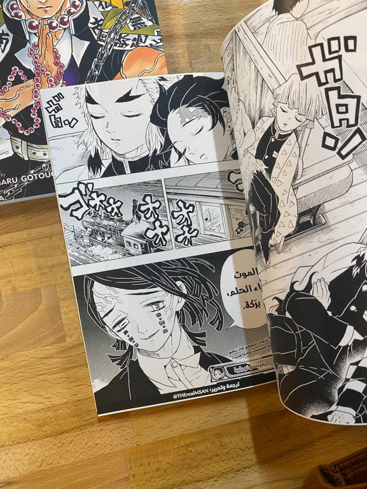 Demon Slayer Manga