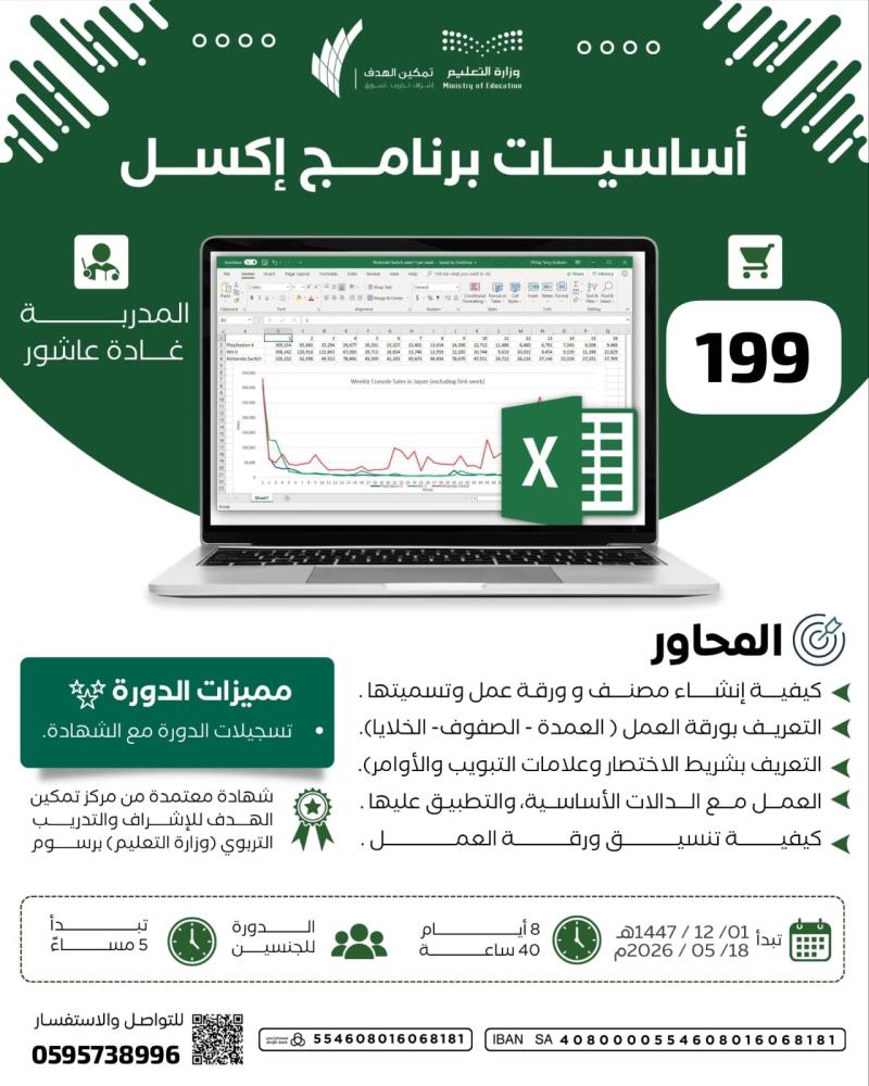 Excel program basics