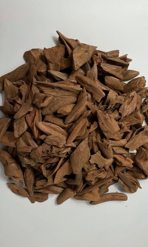 عود مروكي محسن فاخر اتارا