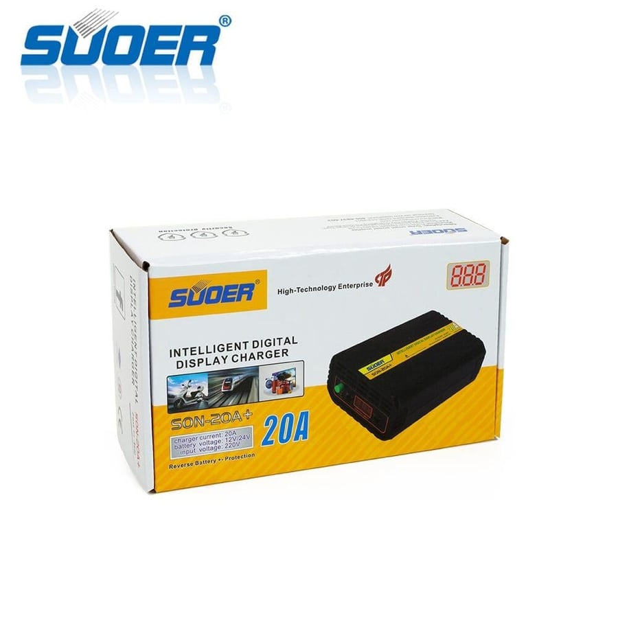20 amp battery charger from 110-220 V to 24/12 V