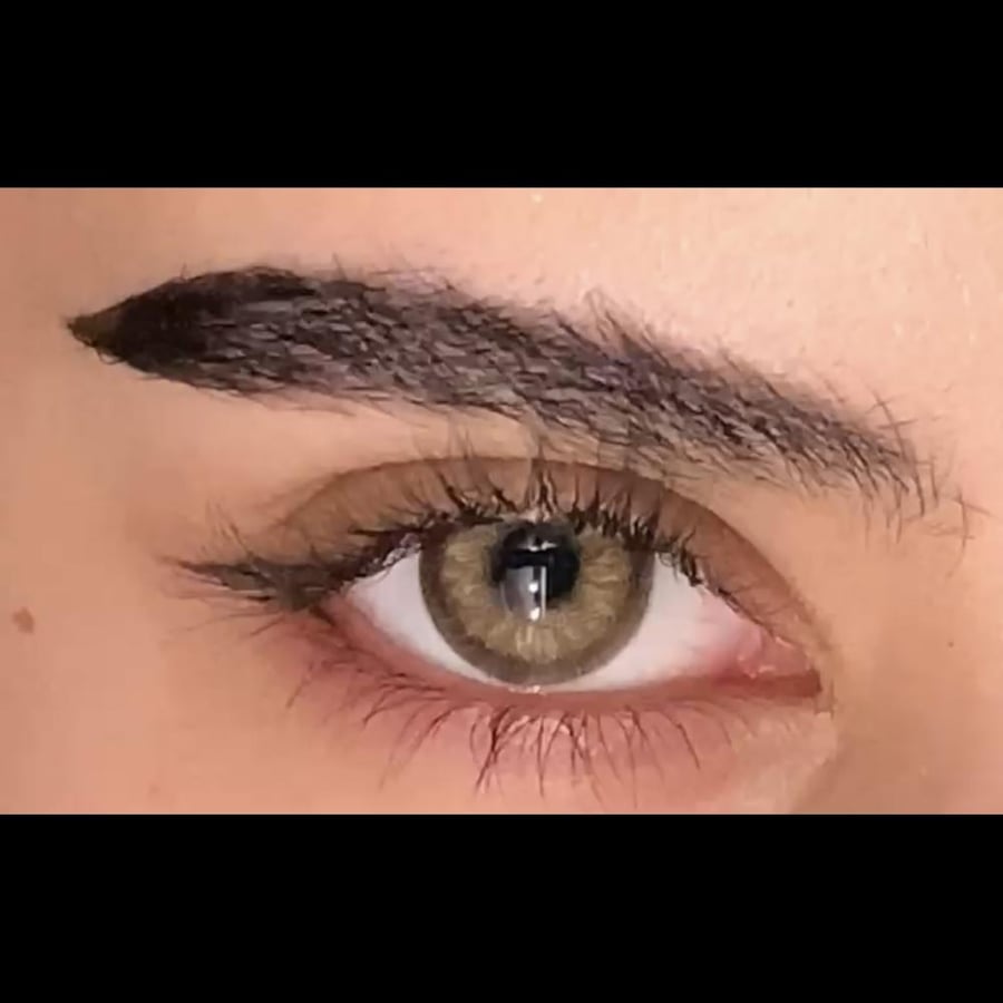 Black swan brown