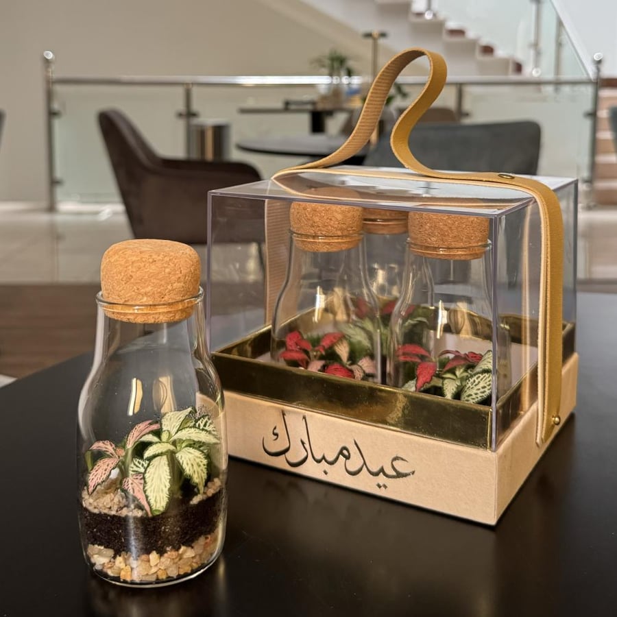 توزيعات سرور العيد