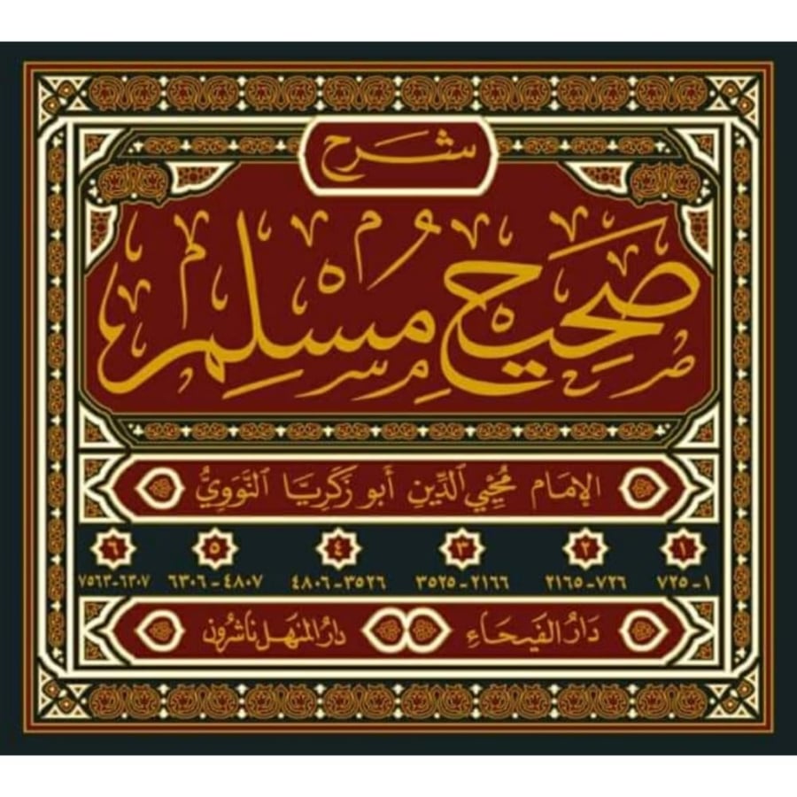 شرح صحيح مسلم