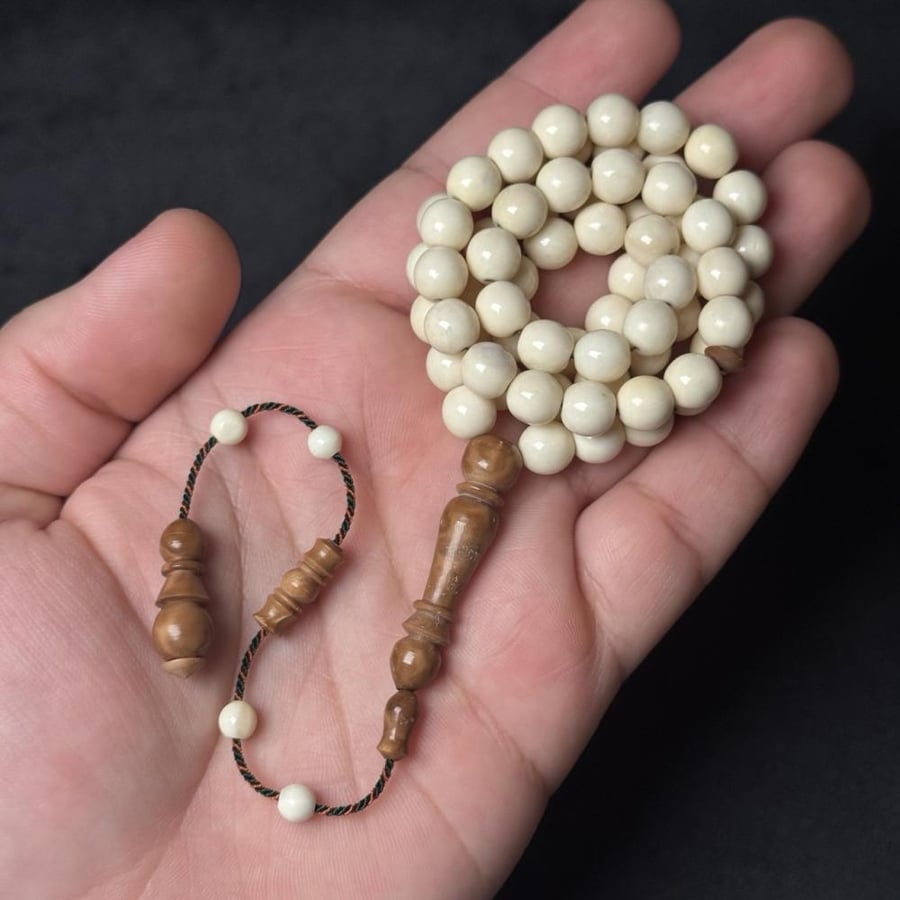 مسباح عظم جمل & كوك ( تمليكة )
