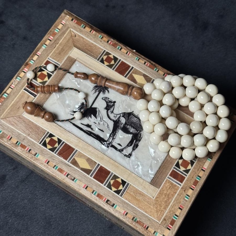 مسباح عظم جمل & كوك ( تمليكة )