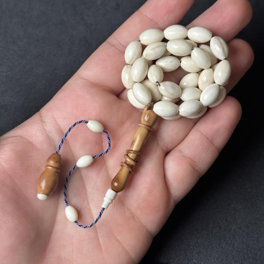مسباح عظم جمل & كوك ( تمليكة )