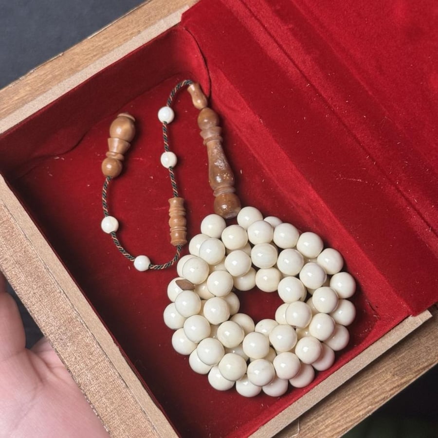 مسباح عظم جمل & كوك ( تمليكة )