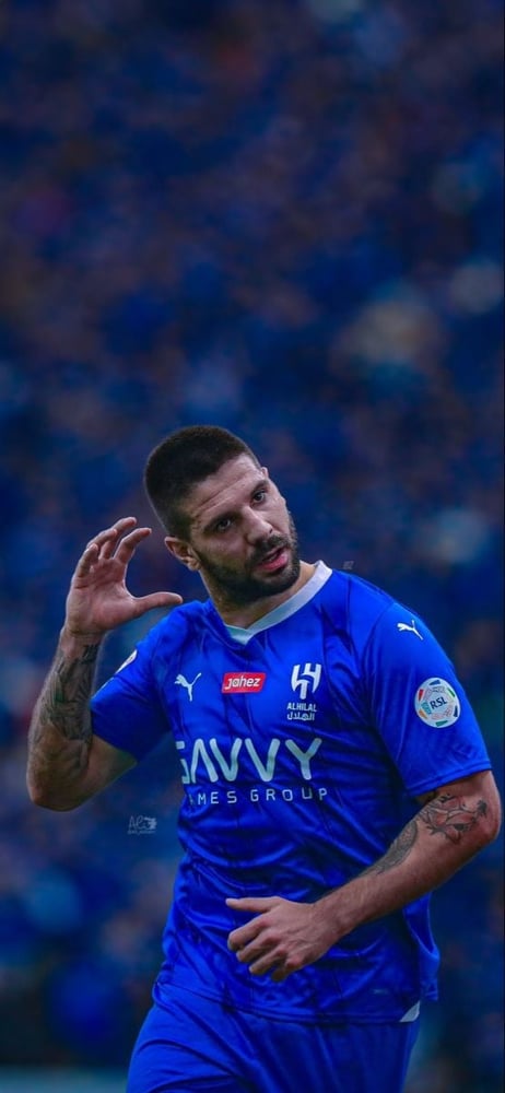 ميتروفيتش mitrovic