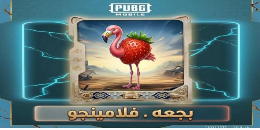 ببجي بجعة فلامينغو- تقسيط تابي وتمارا باقل سعر..