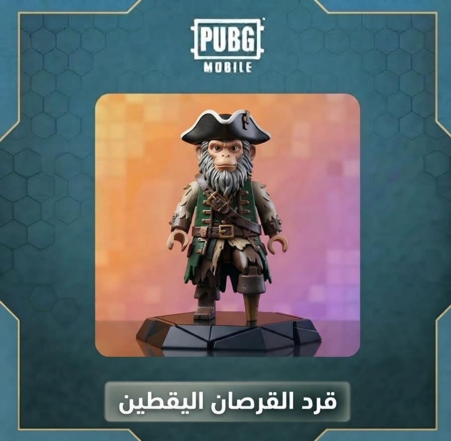 ببجي قرد القرصان اليقطين كاش باقل سعر