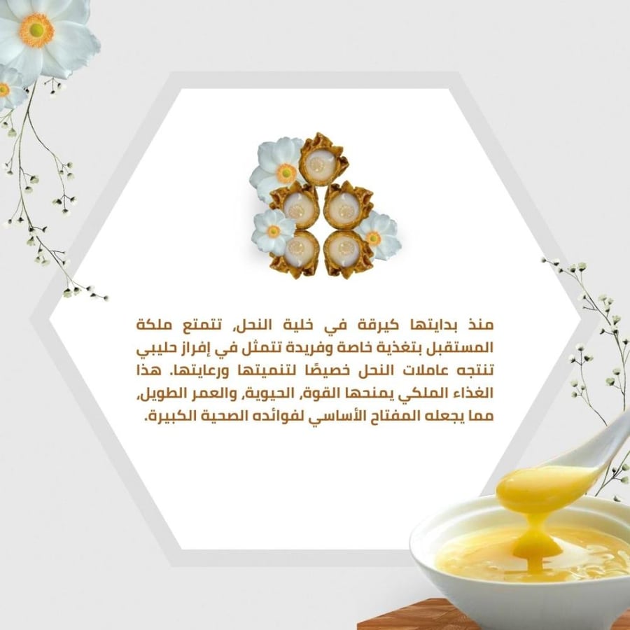 غذاء ملكة النحل