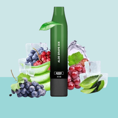 بود سحبة اكسترا 6000 موشة بنكهة عنب ايس XTRA POD 6000 PUFFS ALOE GRAPE