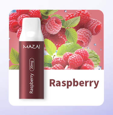 بودات مزاج ريلود 4000 موشة بطعم توت MAZAJ RELOAD PODS 4000 PUFFS RASPB