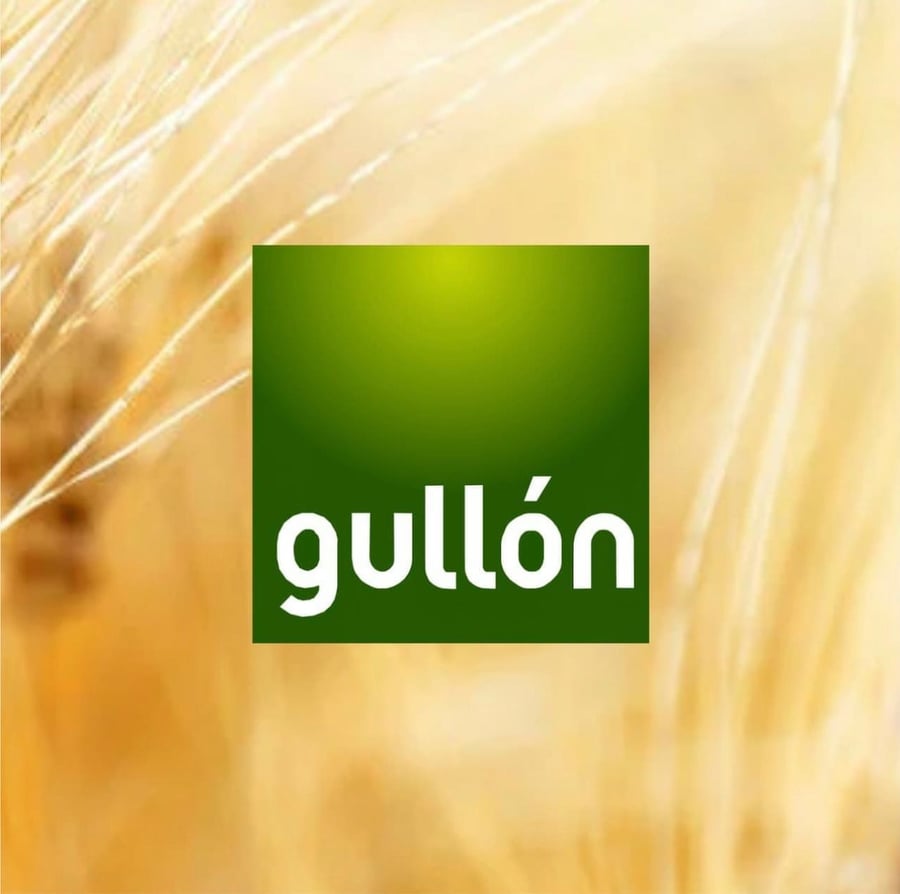 بسكويت جولون (Gullón) العضوي (BIO) - 4 أنواع من الحبوب مع القمح "سبلت" | نباتي وصحي (170 جرام)