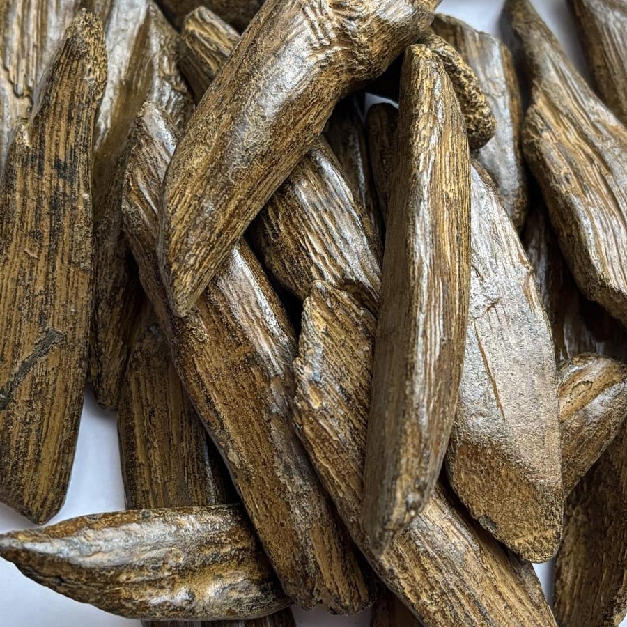 مروكي بيور