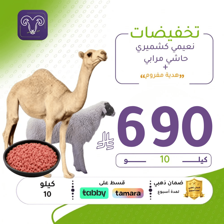 بوكس 6 ك نعيمي كشميري + 4 ك حاشي + هدية مفروم