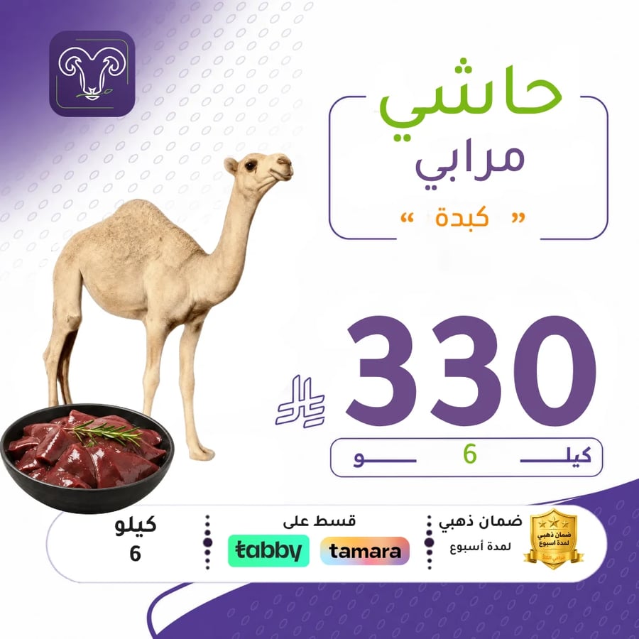 6 كيلو كبدة حاشي مرابي