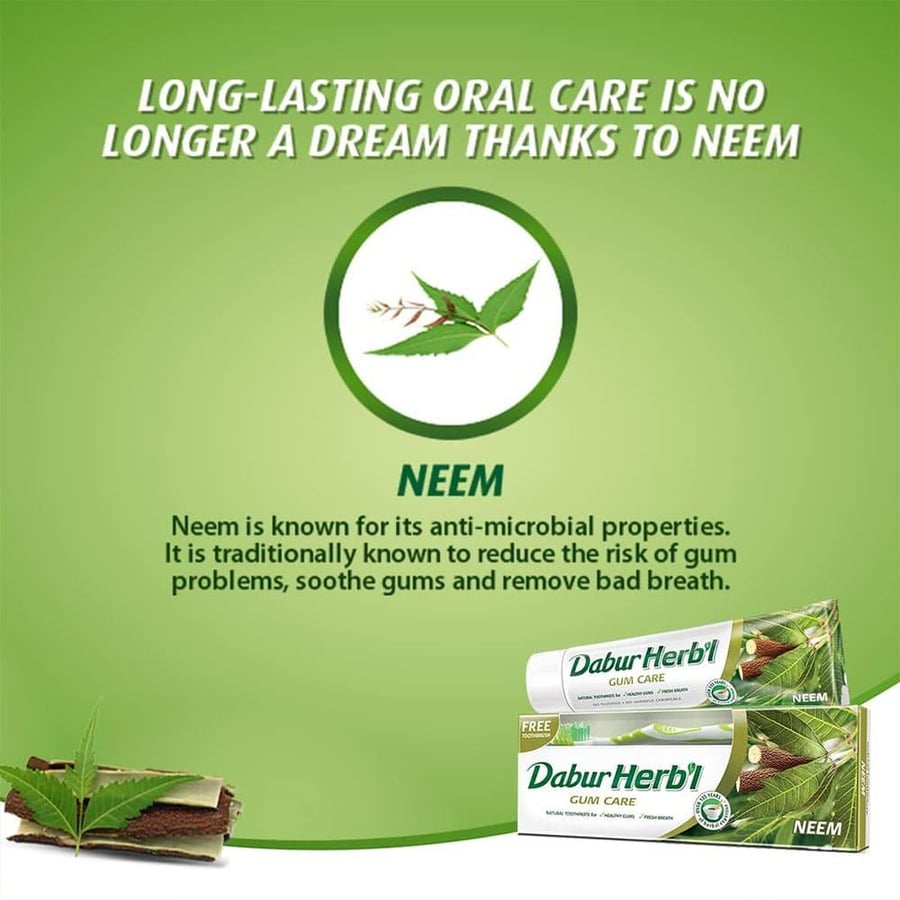 Dabur Herbal Natural Neem Toothpaste with Free Brush - 150 gm