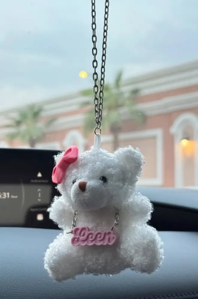 AMS Teddy