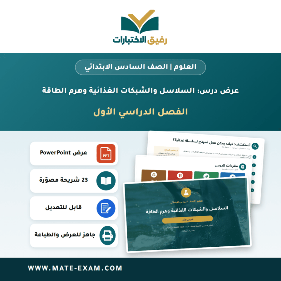 عرض درس السلاسل والشبكات الغذائية وهرم الطاقة - العلوم الصف السادس الابتدائي - الفصل الدراسي الأول