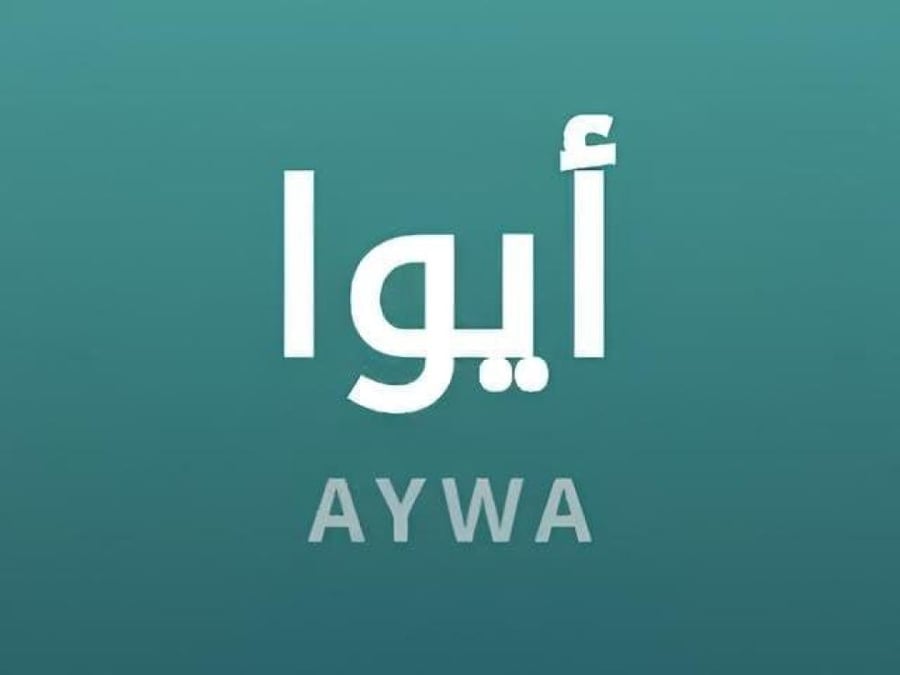 شحن رصيد ايوا 50 ريال تقسيط