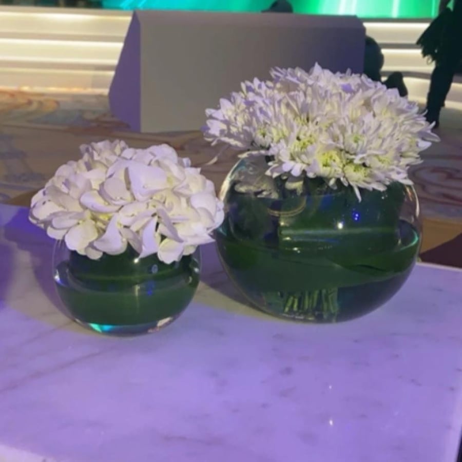 إشراقة الاستقبال