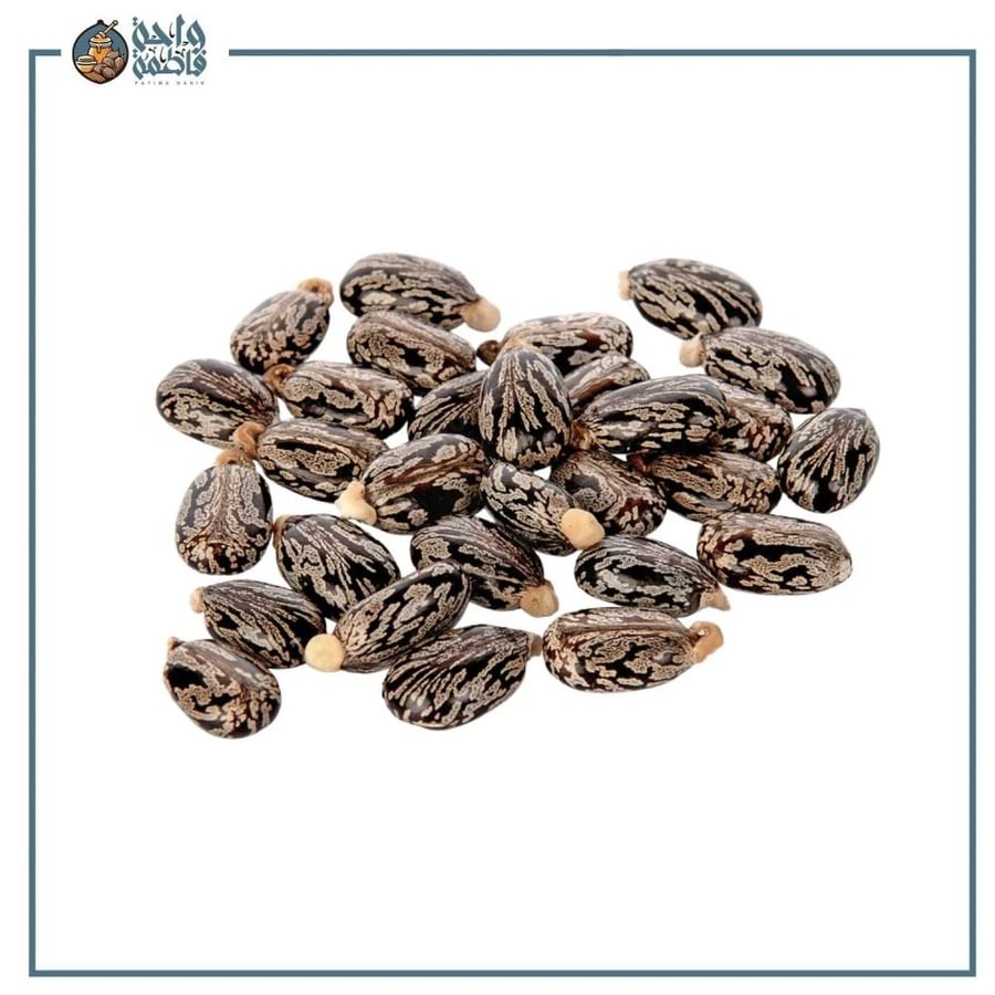 بذور الخروع