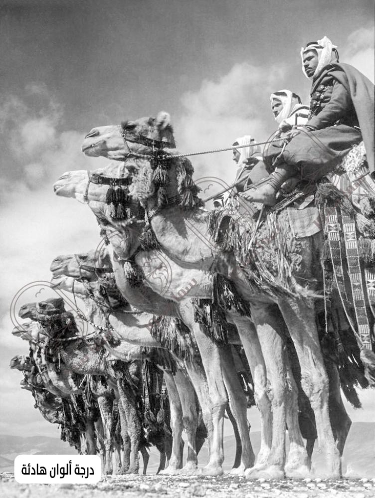 لوحة فنية جمال عربية للمجالس